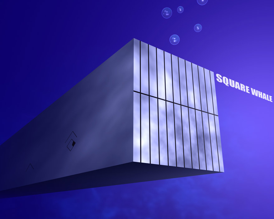 TMX: SQUAREDWHALE